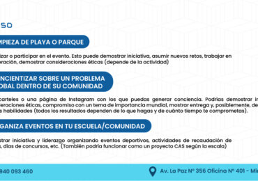 IDEAS CAS DIPLOMA IB